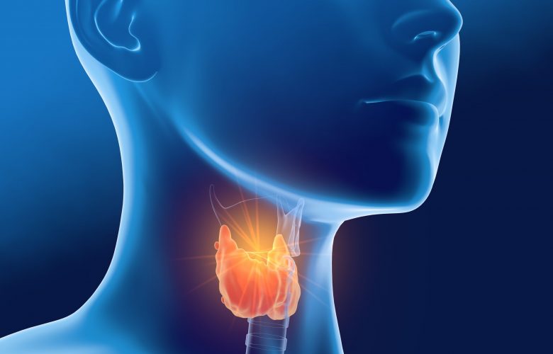 Thyroid gland of a woman, medically 3D illustration on blue background, side view